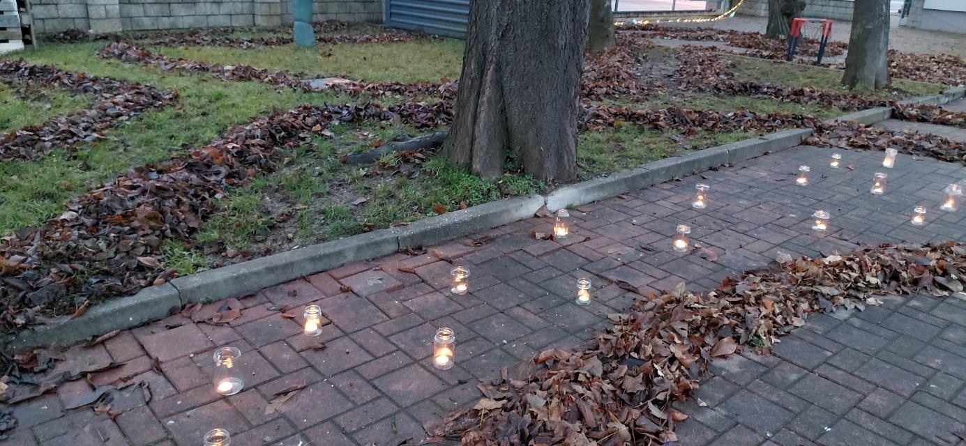Lučke v šolskem vrtu